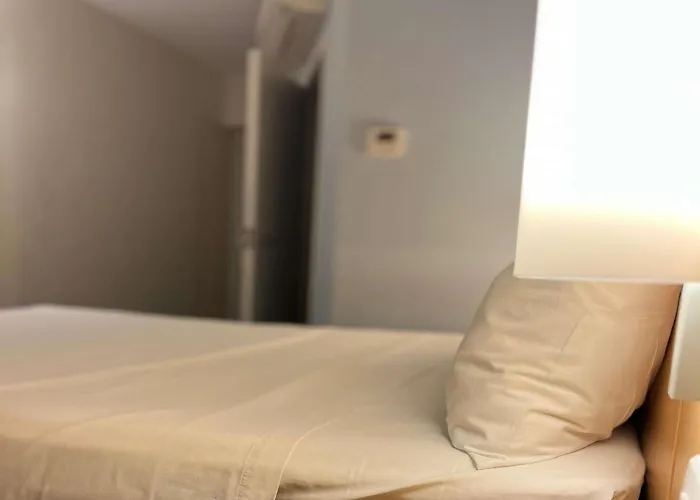 Ibis Catalao
