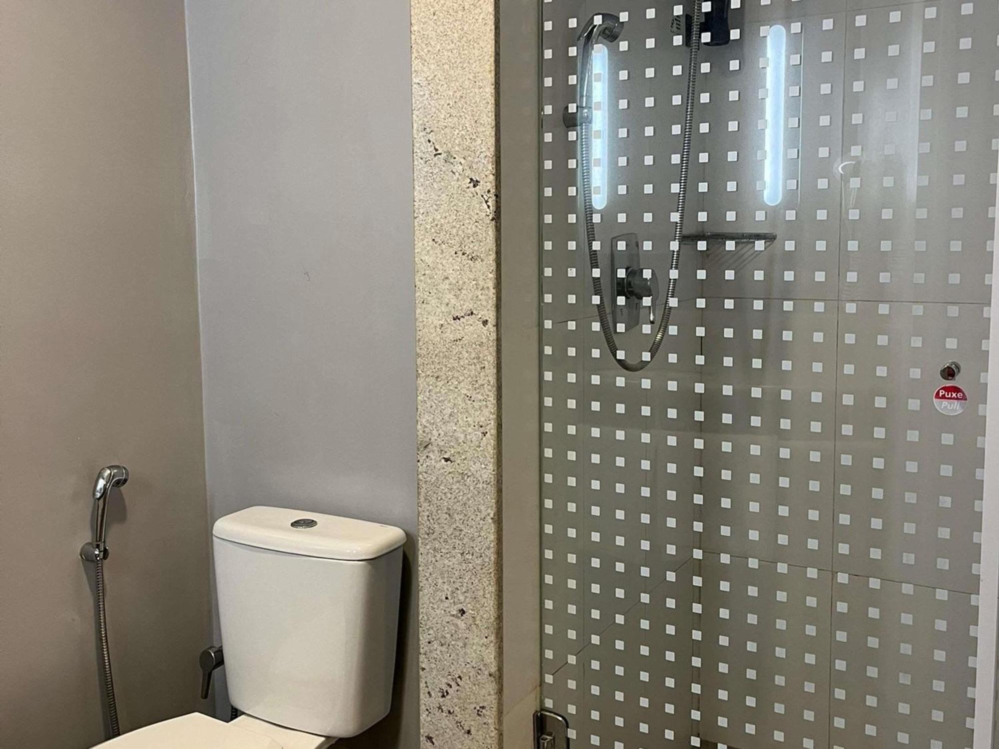 Ibis 3*